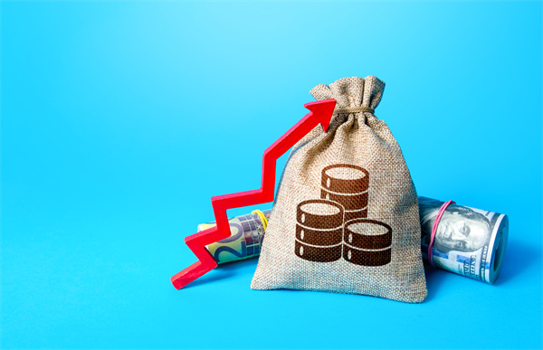 「預算管理咨詢」如何在不同階段制定不同的預算計劃？