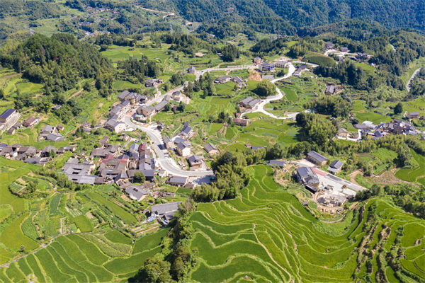 麗水人力資源咨詢公司如何優化企業人才布局？