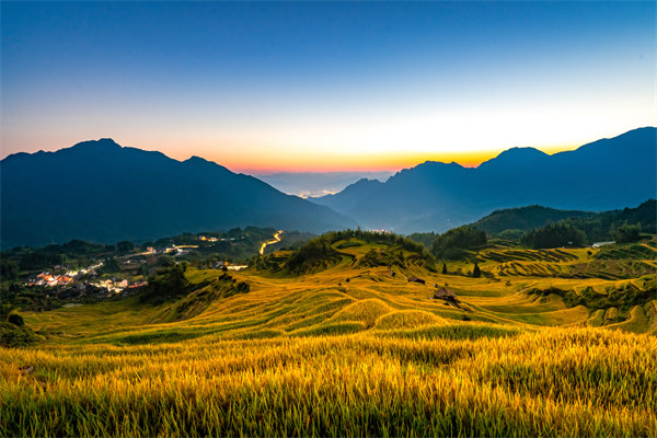 麗水組織規劃咨詢公司如何為企業構建高效組織架構？