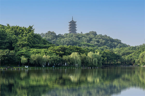 如何評估佛山集團管控咨詢公司的服務質量和效果？