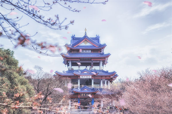 供應(yīng)鏈成本居高不下，無錫供應(yīng)鏈咨詢公司如何精準(zhǔn)砍出利潤空間？