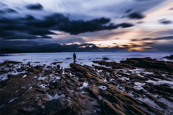 集團管控體系日趨完善，子公司市場應變力為何變弱？