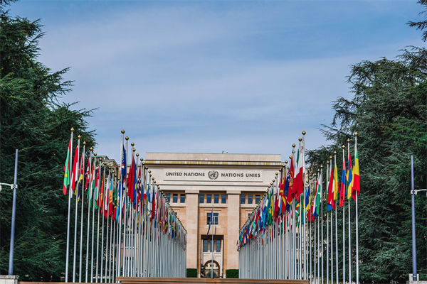 英法等25國發(fā)表聯(lián)合聲明，企業(yè)組織規(guī)劃有何啟示？