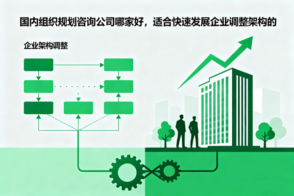 國內組織規劃咨詢公司哪家好，適合快速發展企業調整架構的